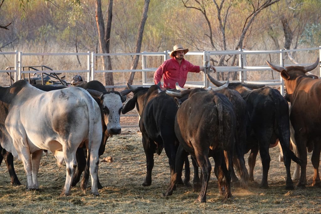 Agricultural BAS agent & bookkeeping Online BAS services for farms